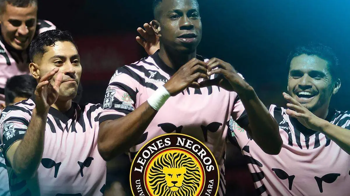 Leones Negros